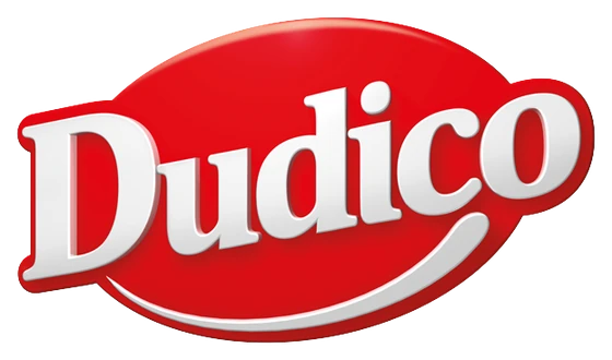 Dudico